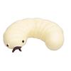 1pcs_White