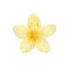 Hawaiian Style Gradient Flower Crab Hair Clips for Women Plumeria Barrettes Beach Vacation Hair Claw for Thin/Thick Hair Accessories