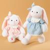 Creative And Adorable Plush Toys, Perfect For Holiday Gifts, Birthday Gifts, And Companionship Gifts For Children