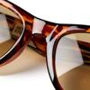 Sunglasses UV Protection Lens FREE SUNGLASSES WLTN BROWN [New Era] Tortoiseshell/Brown