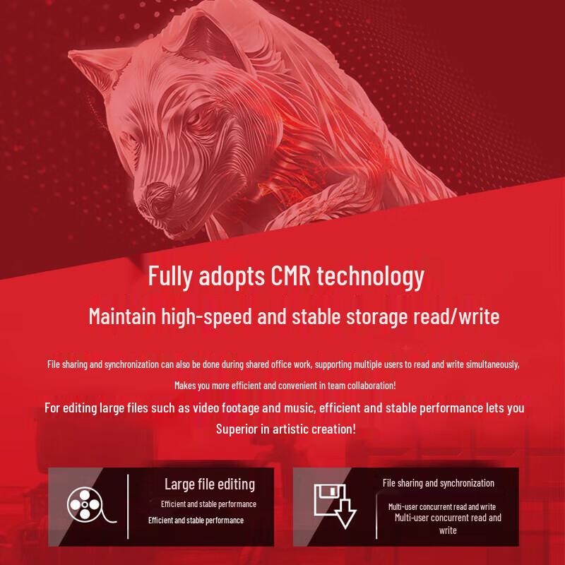 Seagate IronWolf NAS Hard Drive Series