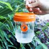 Bee Trap Insect Fruit Fly Wasp Catcher Lure Waterproof Outdoor Hanging Trap Clear Traps Box Catcher Pest Control Tools