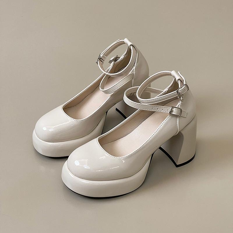 Internet celebrities versatile spring 2025 new thick heel Mary Jane shoes women's burgundy high heels straps single shoes retro