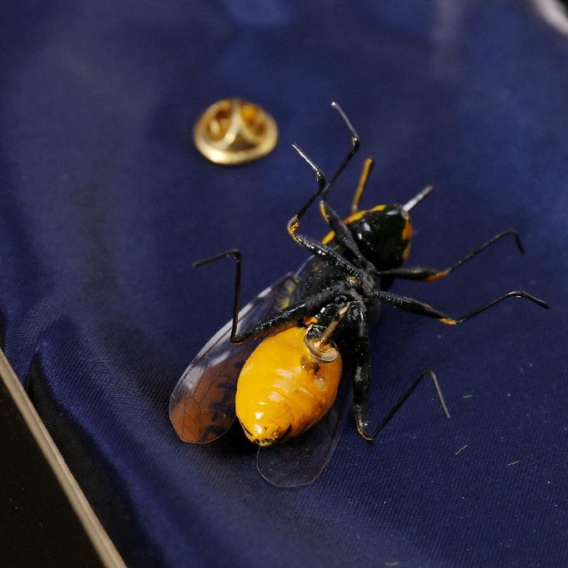 Handgemaltes Gemälde Hummel Biene Wespe Brosche Anstecker Insekt Brosche Biene Fliege Insekt Brosche Kleidung Zubehör
