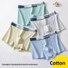 Male Spring and Summer Cotton Skin-friendly Breathable Student Development Period Sports Boxer Briefs