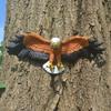 New 1pcs Eagle Wall Sculpture Resin Animal Hanging Ornament Eagle For Garden Home Decor Craft Gifts Figurines Small Eagle Flying