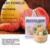 Scented Candles DIY Succulent Fragrance Indoor Lasting Fragrance