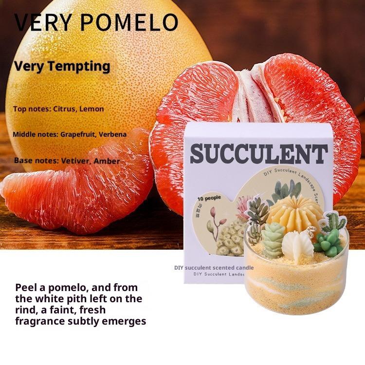 Scented Candles DIY Succulent Fragrance Indoor Lasting Fragrance