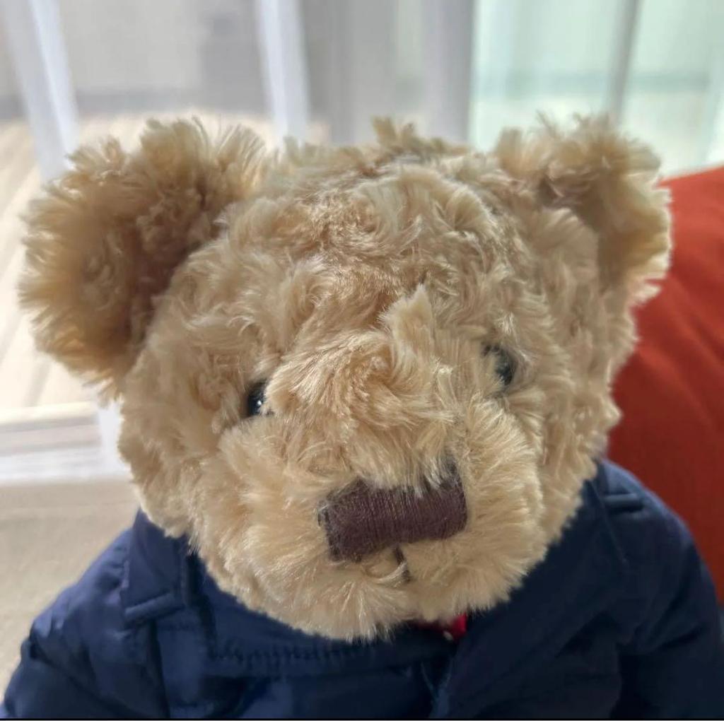 [USED] BENTLEY BEAR Bentley teddy bear plush toy