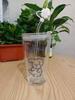 New 480ML Kawaii Glass Straw Cup with Cover Cartoon Water Cup Drinkware Juice Tea Coffee Milk Cup Glass Mugs Gift