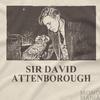 Sir David Attenborough, Junger David Attenborough Hommage T-Shirt Tee Top Retro 90er Vintage Lustige Ikone, Planet Erde, Unser Planet