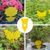 10/20/30Pcs Strong Flies Traps Bugs Sticky Board Catching Aphid Insects Pest Killer