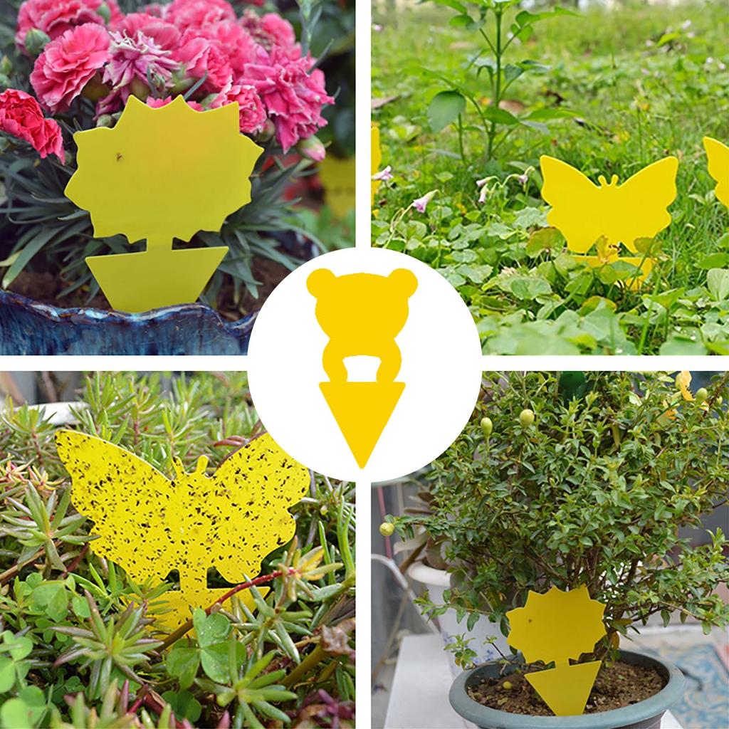 10/20/30Pcs Strong Flies Traps Bugs Sticky Board Catching Aphid Insects Pest Killer