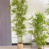 Indoor/Outdoor Fake Bamboo Partition Screen - Decorative Bamboo Bonsai Wall for Landscaping
