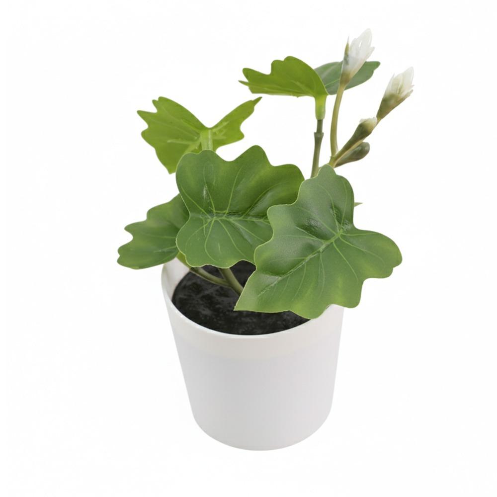 Greenery Green Plant Potted White Flowerpot Simulation Plant Potted Desktop Ornament  Windowsill 4