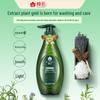 Fenghua Revitalizing Essential Oil Shampoo
