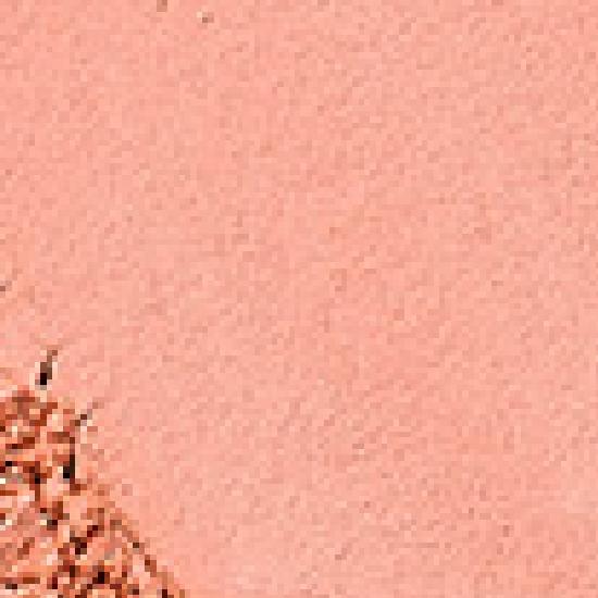 rom&nd slide in single