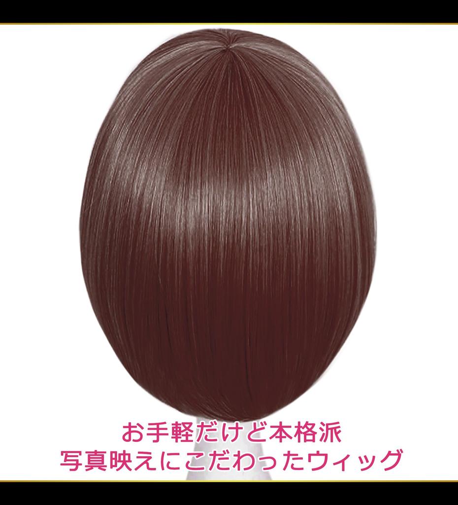 CaseEden Cosplay Wig, Premium, Smooth Short Hair, Dark Brown, WIG6120