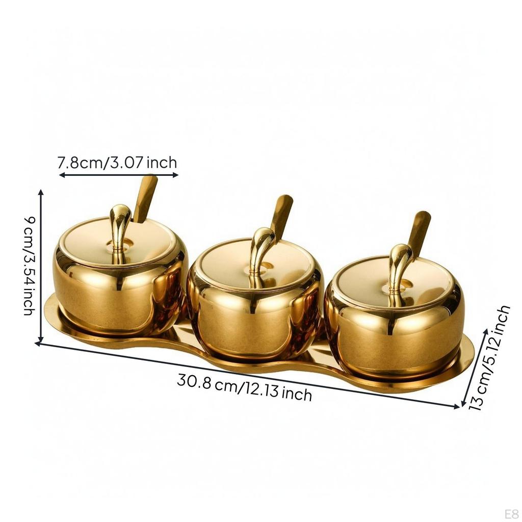 2 Pieces Stainless Steel Condiment Pot Set with Tray Multipurpose