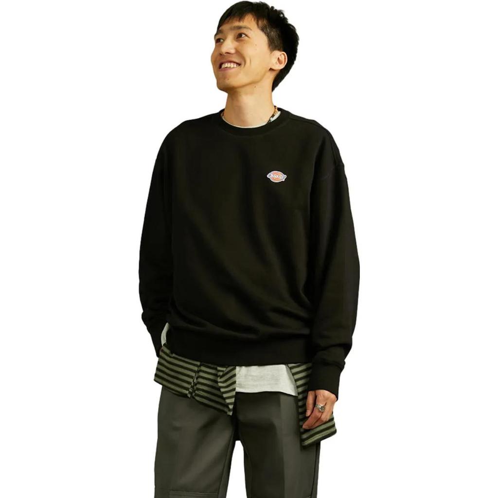Dickies Sweatshirts Unisex Crew Neck Moderate Regular (Unisex) Sweatshirts DK011033C4D1