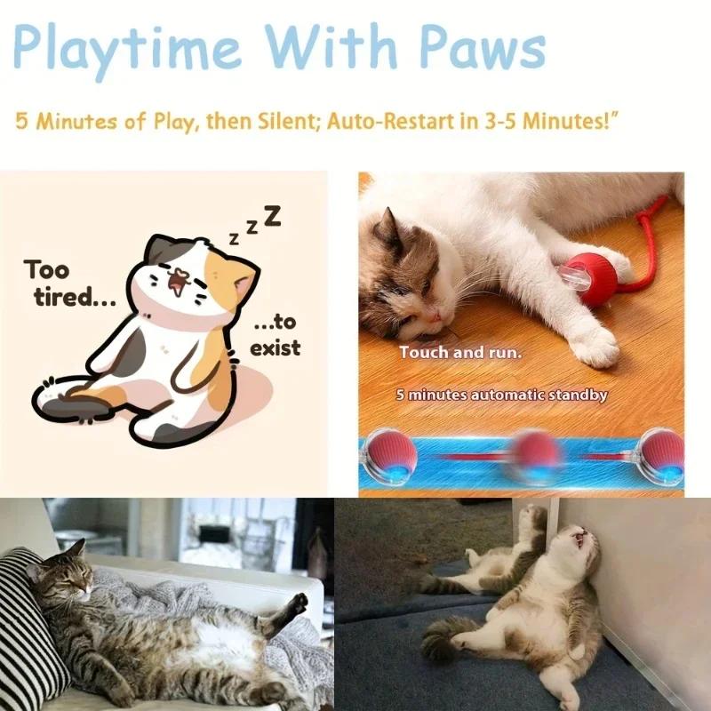 Rechargeable Pet Supplies Dog and Cat Training To Imitate Rat Pet Interactive Toys Electric Toy Ball Simulated Tail Home
