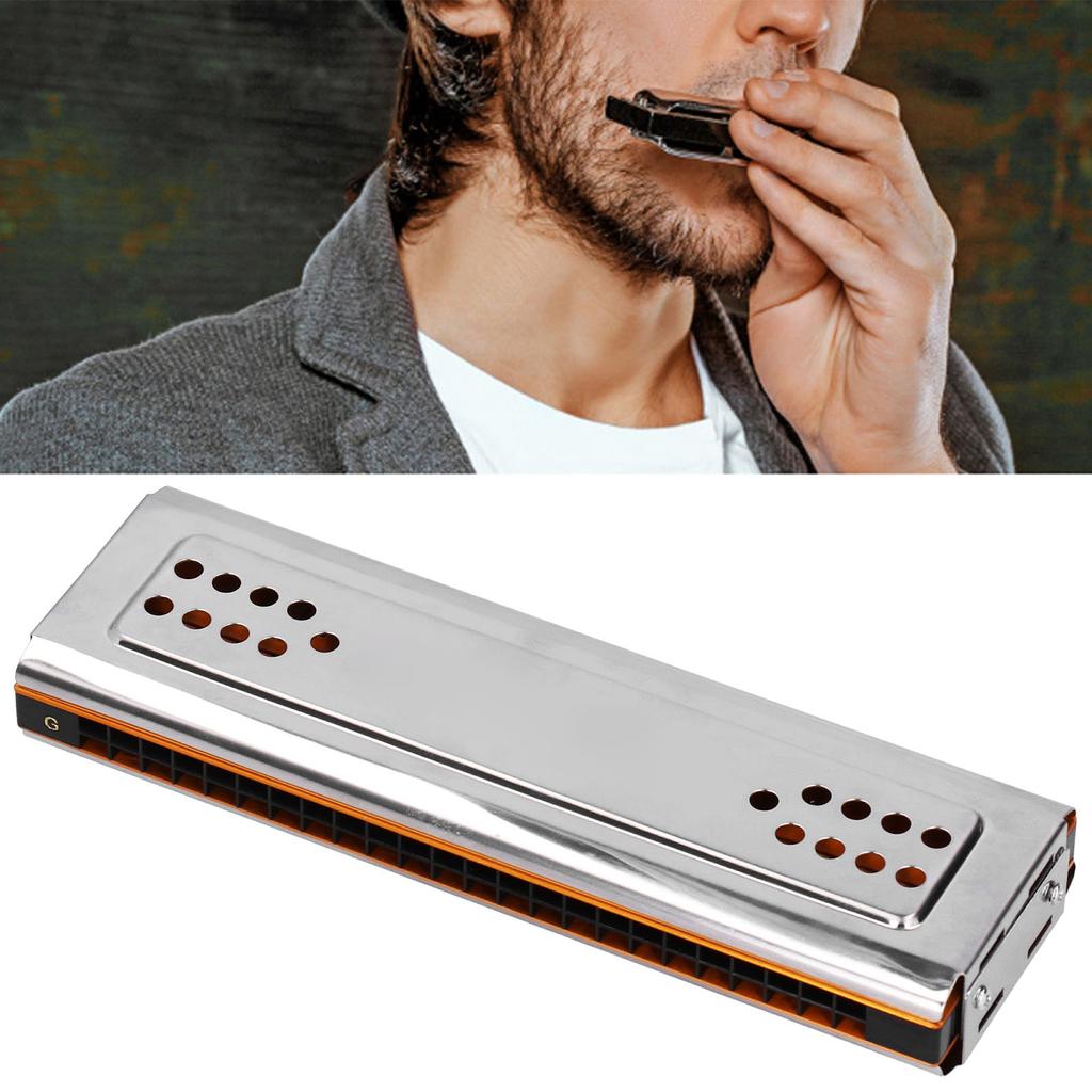 Tremolo Harmonica 24 Holes C&G Key DoubleSide with Box Musical Instrument for Beginner