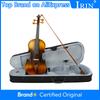 IRIN 4/4 Electric Smart Electroacoustic Violin with EQ Acoustic Silent Violin AV-E07 Maple Panel Violin for Performance