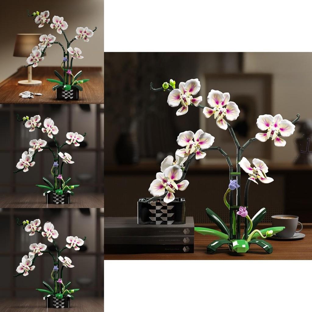 Cymbidium Building Block Toy With Abs Plastic For Children Diy Creative Play Gift