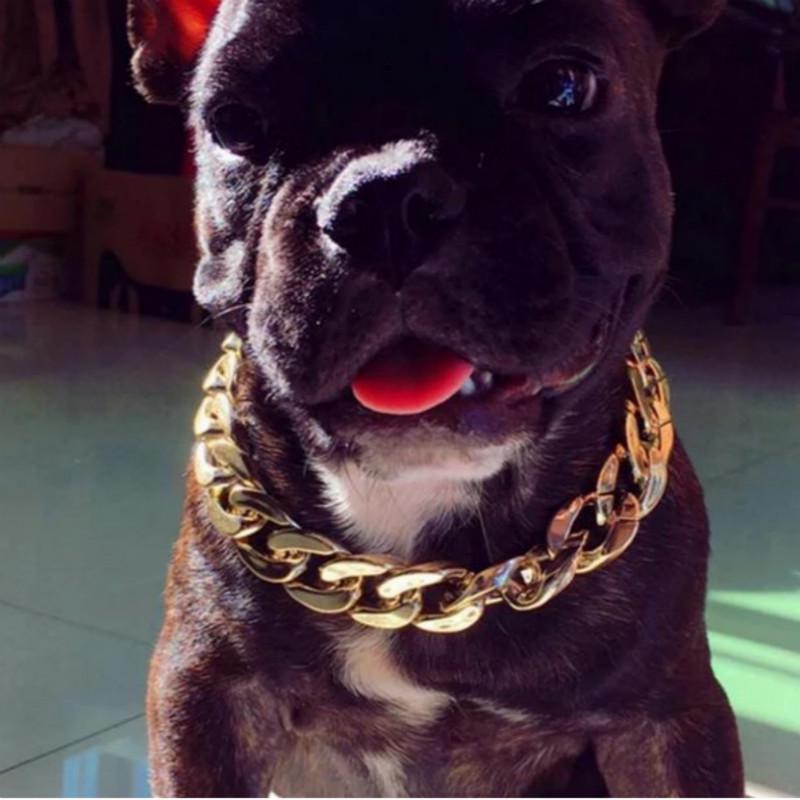 thick dog chain