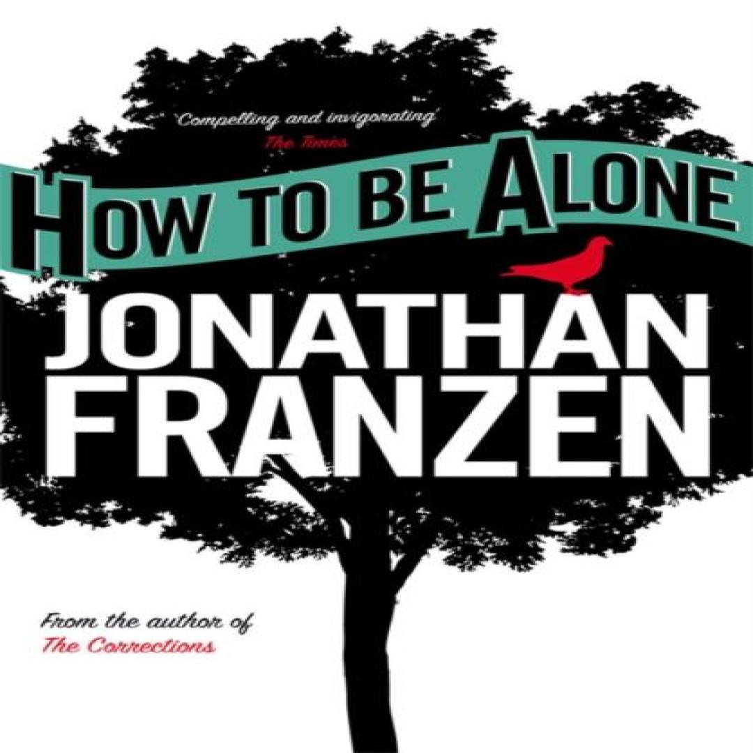 Wie man allein ist von Jonathan Franzen Taschenbuch 9780007153589