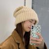 Windproof Winter Elastic Warm Knitted Hat Korean Style Beanies Women Hat Solid Color