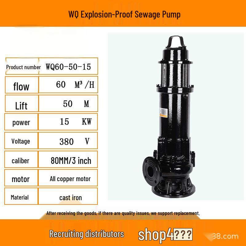 WQ High Flow Explosion-Proof Submersible Sludge Pump for Basements