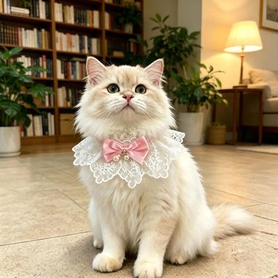 Kedi – Kediler için giyim