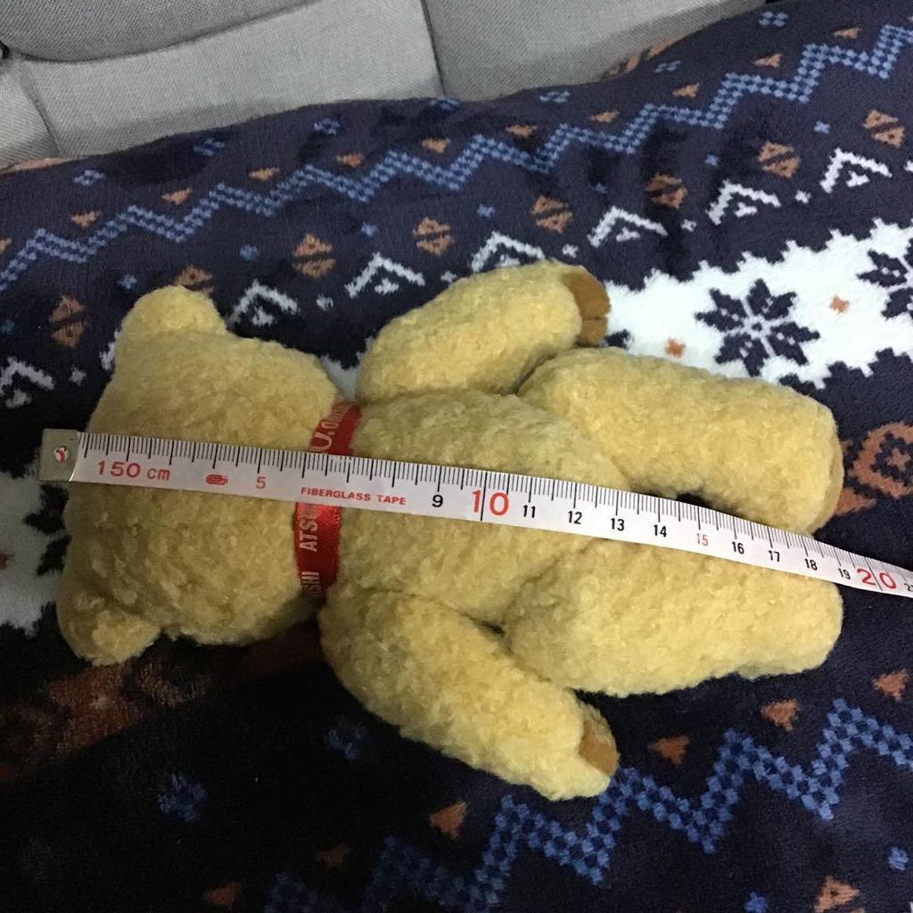 [USED] Atsuki Onishi Teddy Bear Nu143