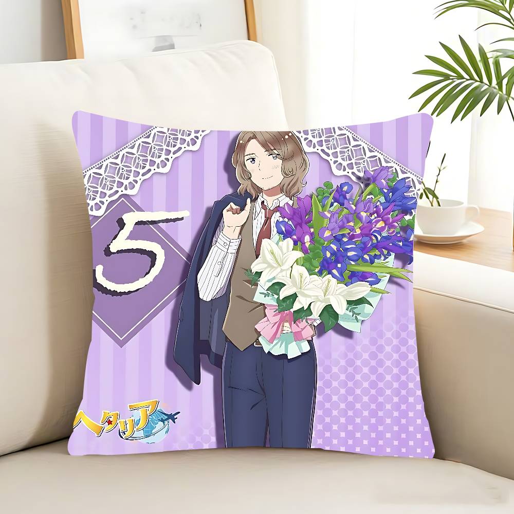 Povlak na polštář Hetalia World Stars, snímatelný a pratelný povlak na polštář – měkký len pro všechny roční období