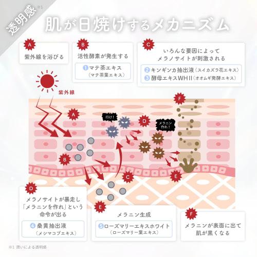 Shironosakura. Sunburn Soothing Hand Cream 30ml. Goldfinch, Rosemary, White-5Q, Fullerene. Produced by Gi-chan.