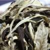 Yunnan Jinggu Moonlight White Raw Pu Erh Tea Buds Loose Leaf 100g Premium