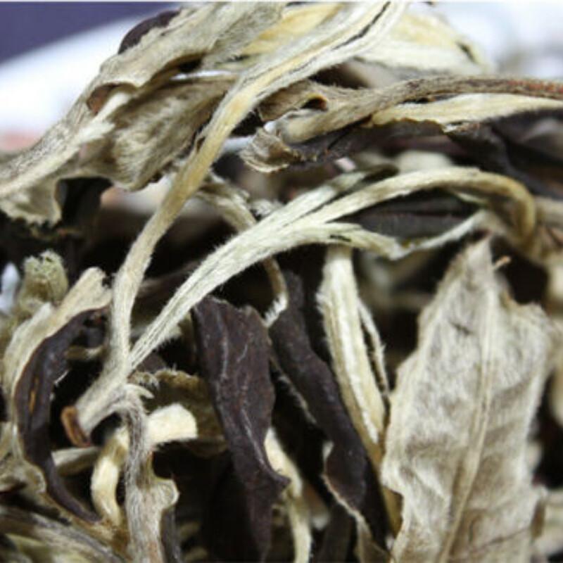 Yunnan Jinggu Moonlight White Raw Pu Erh Tea Buds Loose Leaf 100g Premium