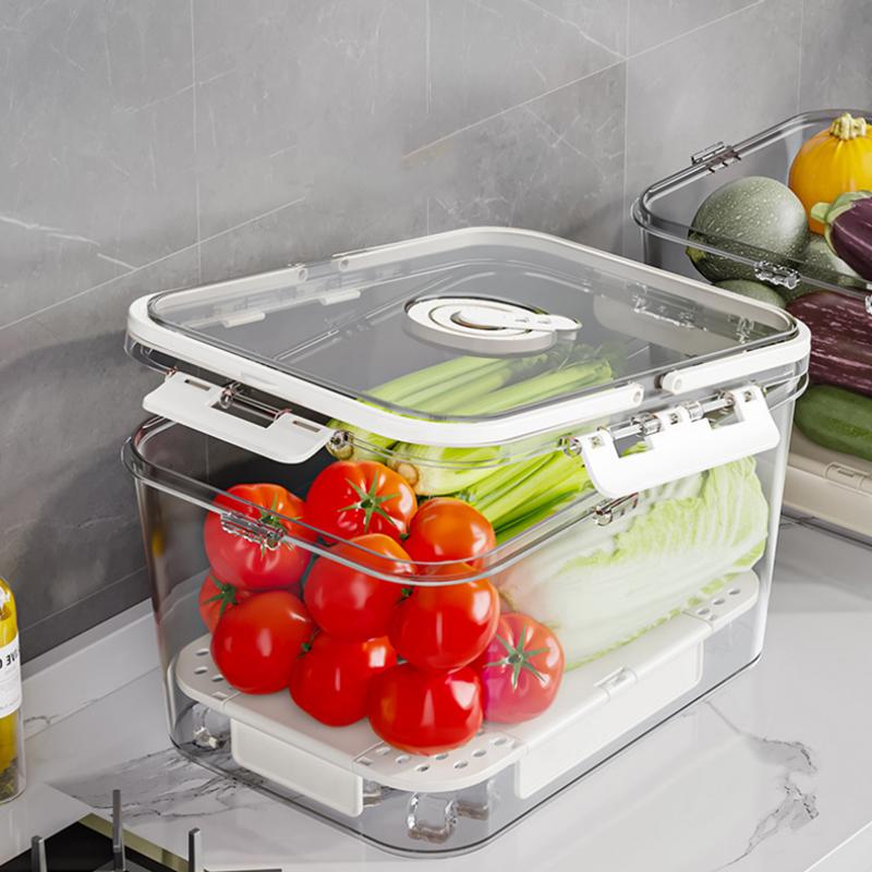 Picnic Box Clear Food Storage with Drain Plate for Easy Outdoor Use