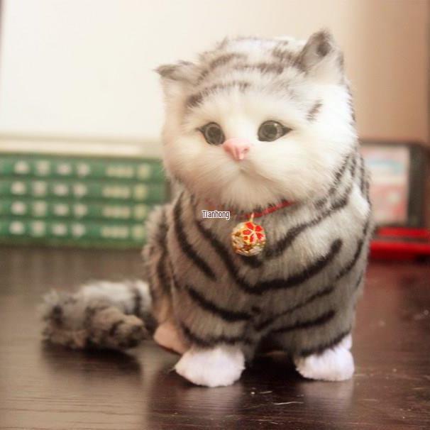 Niedliches Ragdoll Kätzchen Kissen Plüschtier Geschenk für Mädchen