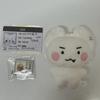 PLAVE Eunho Doll With Amhyungae Benefits