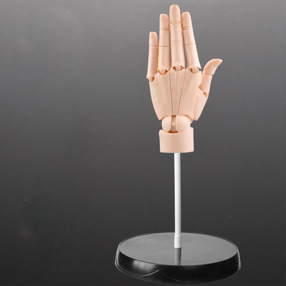 Flexible Artists Hand Model, Adjustable Hand Model For Drawing, Lively Manikin Figure Hand Model For Desk Decoration, Sketching, Drawing, Painting