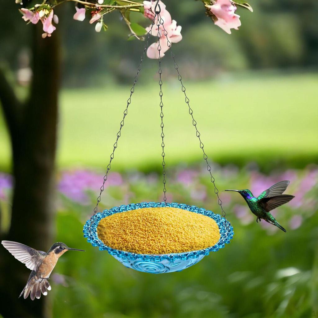 9 -inch Suspended Bird Bouler Outdoors.