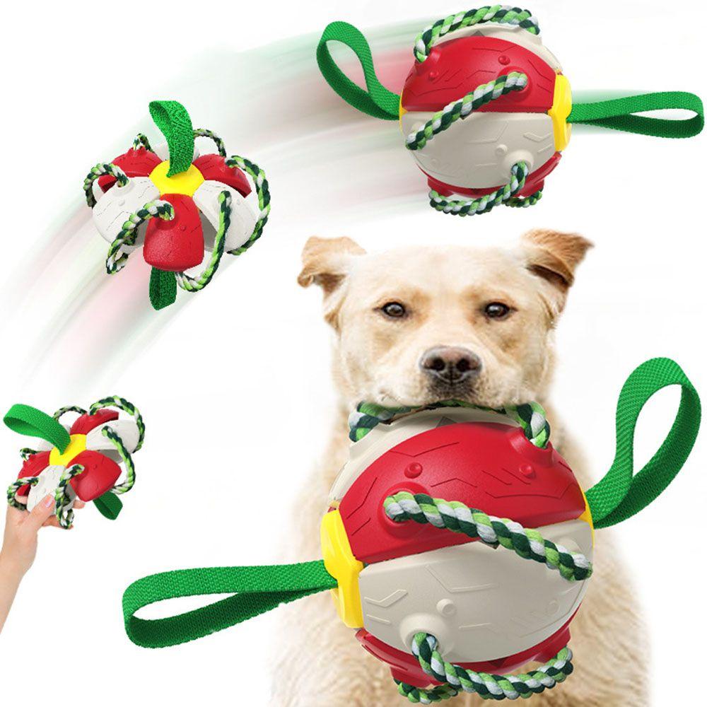 dog exercise toys