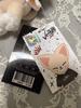 [USED] skzoo Foxxiny Mini Plush Toy