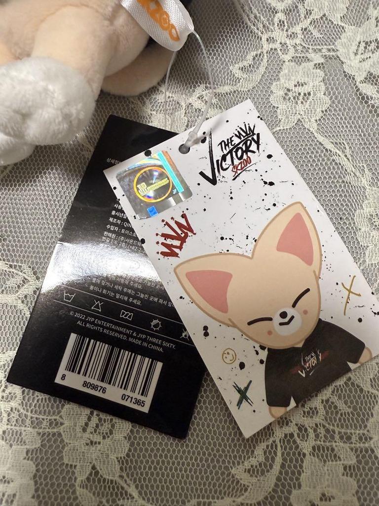 [USED] skzoo Foxxiny Mini Plush Toy