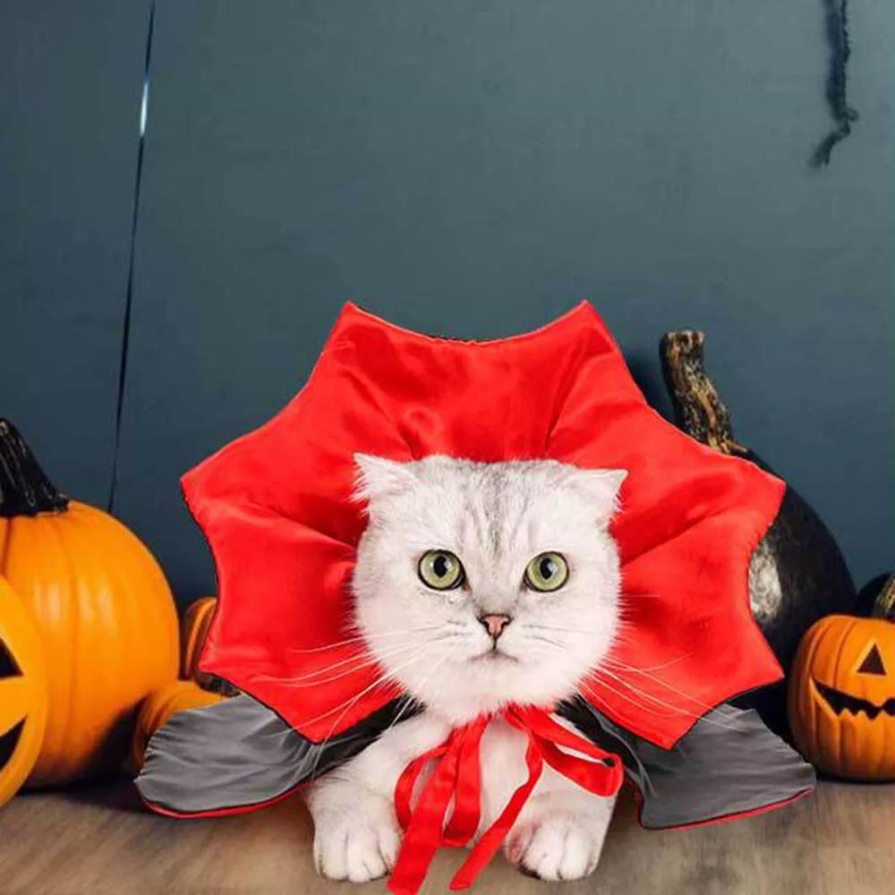 Red Black Pet Cat Vampire Cape Halloween Pet Dog Cloak Hat  Halloween Costume Party Supply
