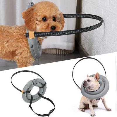 Köpek – Köpek Tasmaları ve Tasma Kayışları