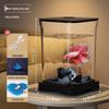 Creative Betta Fish Ecological Desktop Tank with Night Light Decoration.