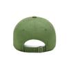 DEINET DEINET BIG LOGO CAP IN GREEN
